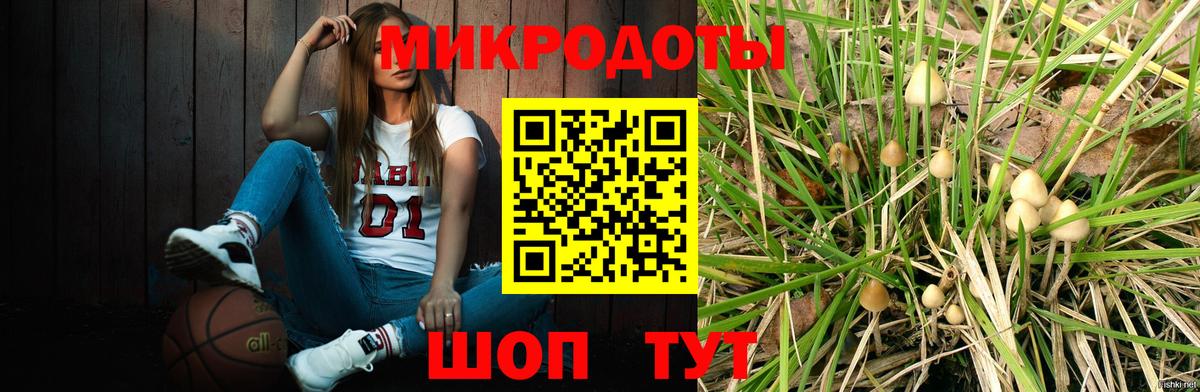 Галлюциногенные грибы MAGIC MUSHROOMS  Псилоцибиновые грибы мухоморы  Вход с VPN  купить наркотик  Усолье-Сибирское 