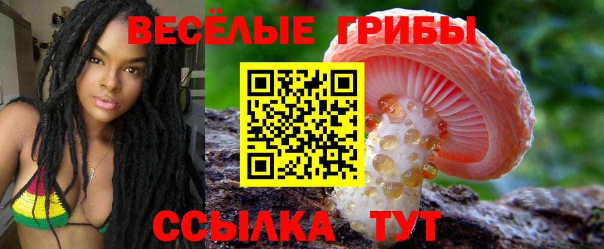 Псилоцибиновые грибы GOLDEN TEACHER Усолье-Сибирское